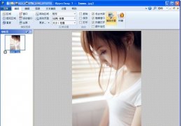 HyperSnap-DX免费版(抓图工具) 中文绿色版
