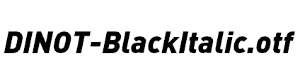 DINOT-BlackItalic.otf字体下载