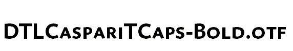 DTLCaspariTCaps-Bold.otf字体下载