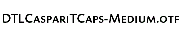 DTLCaspariTCaps-Medium.otf字体下载