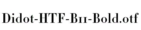 Didot-HTF-B11-Bold.otf字体下载