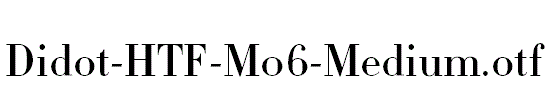 Didot-HTF-M06-Medium.otf字体下载