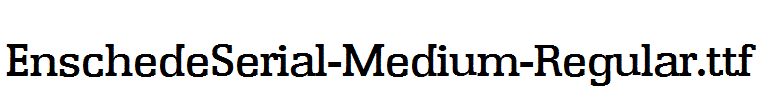 EnschedeSerial-Medium-Regular.ttf字体下载